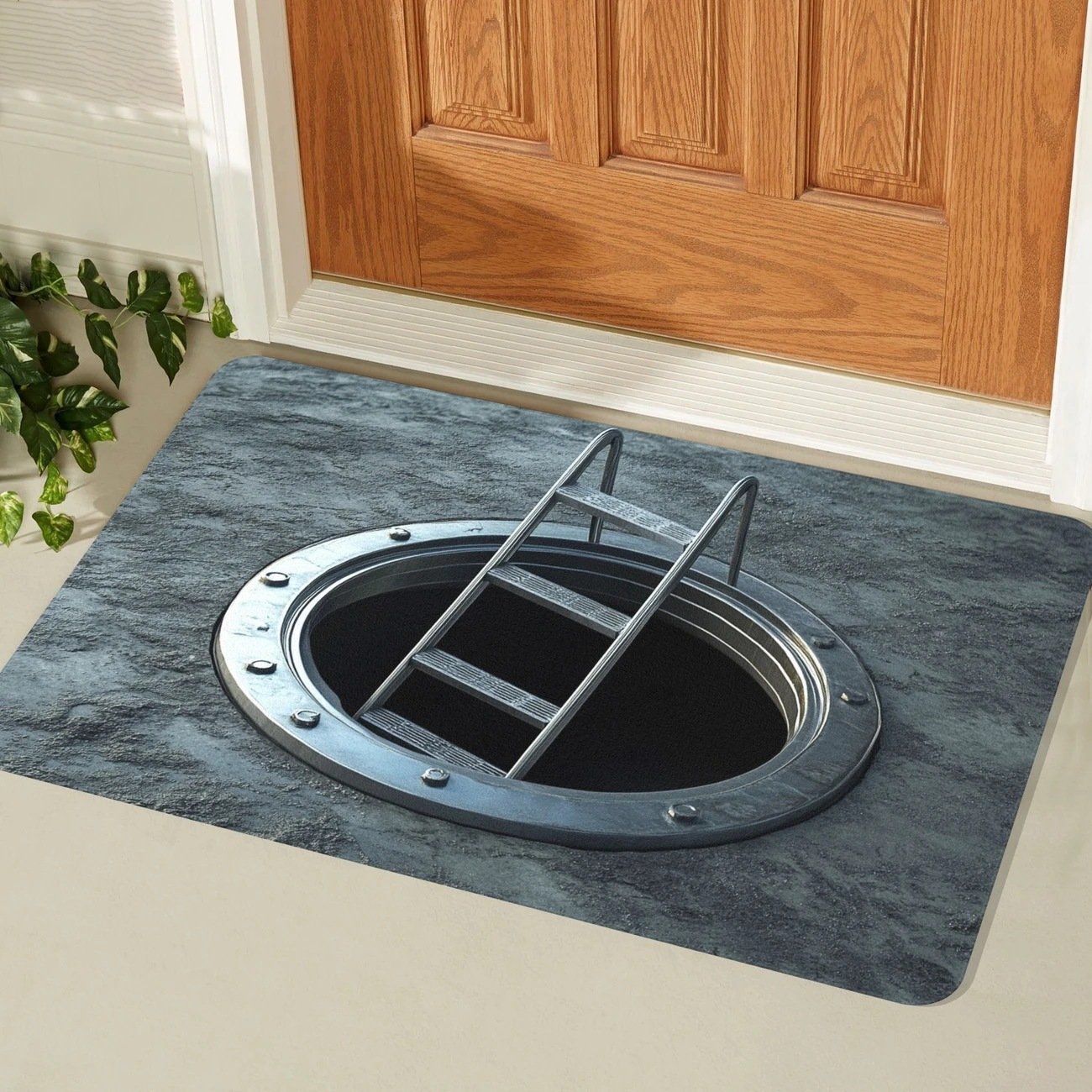 Watch Your Guests Jump! 😱 The Rug That Defies Gravity 🌀